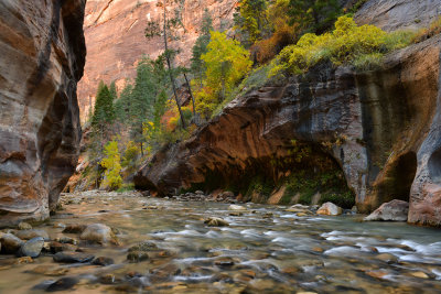 UT - Zion NP - The Narrows 1.jpg