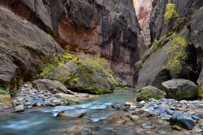 UT - Zion NP - The Narrows 5.jpg