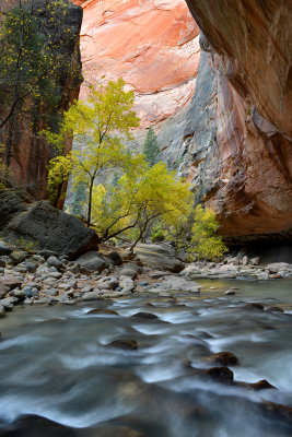 UT - Zion NP - The Narrows 11.jpg