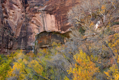 UT - Zion NP - Weeping Wall.jpg