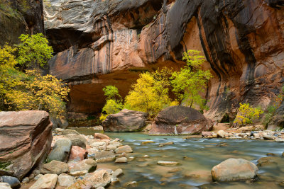 UT - Zion NP - The Narrows 16.jpg
