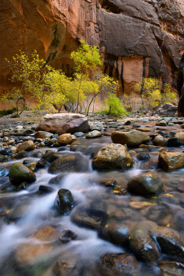 UT - Zion NP - The Narrows 17.jpg