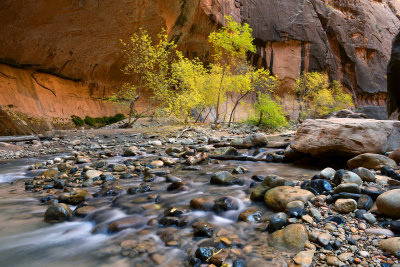 UT - Zion NP - The Narrows 20.jpg