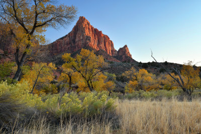 UT - Zion NP - The Watchman 5.jpg