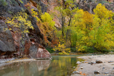 UT - Zion NP - Virgin River 1.jpg