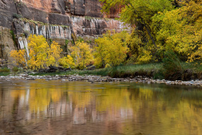 UT - Zion NP - Virgin River 2.jpg