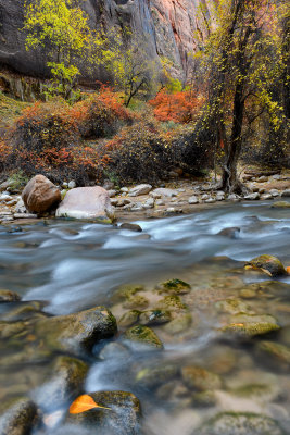 UT - Zion NP - Virgin River 4.jpg