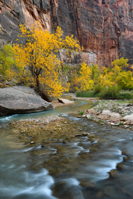 UT - Zion NP - Virgin River 7.jpg