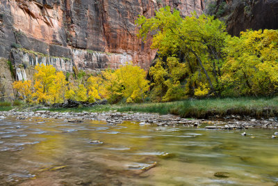 UT - Zion NP - Virgin River 8.jpg