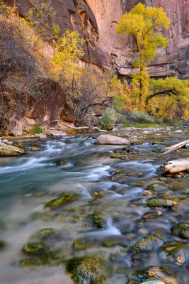 UT - Zion NP - Virgin River 9.jpg