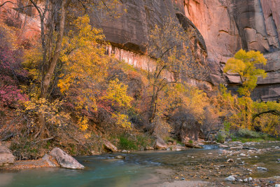 UT - Zion NP - Virgin River 10.jpg