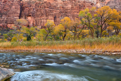 UT - Zion NP - Virgin River 13.jpg