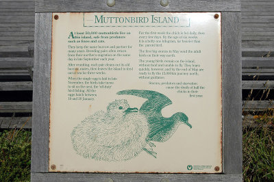 Information at Muttonbird Island - Informatie bij Muttonbird Island