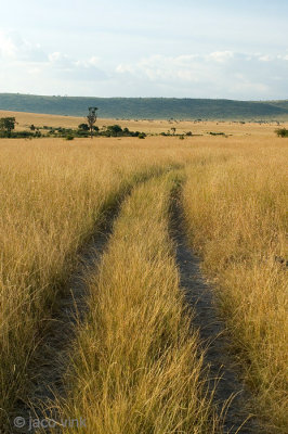 Masai Mara National Reserve