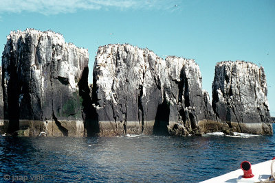 Farne Isles