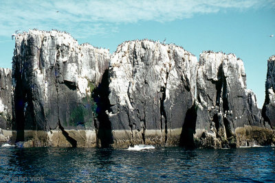 Farne Isles