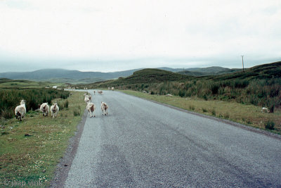 Country road northwest Scotland