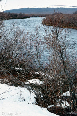 Jakobselva