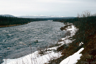 Jakobselva