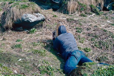 Photographing an Eider - Fotograferen van een Eidereend