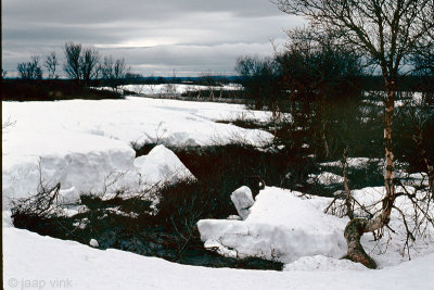Bergebyelva