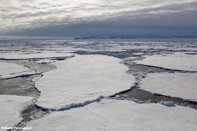 Svalbard