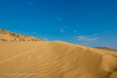 Yellow Dunes 02/2016