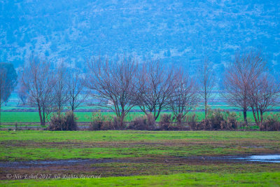 Hula Lake 01/2017