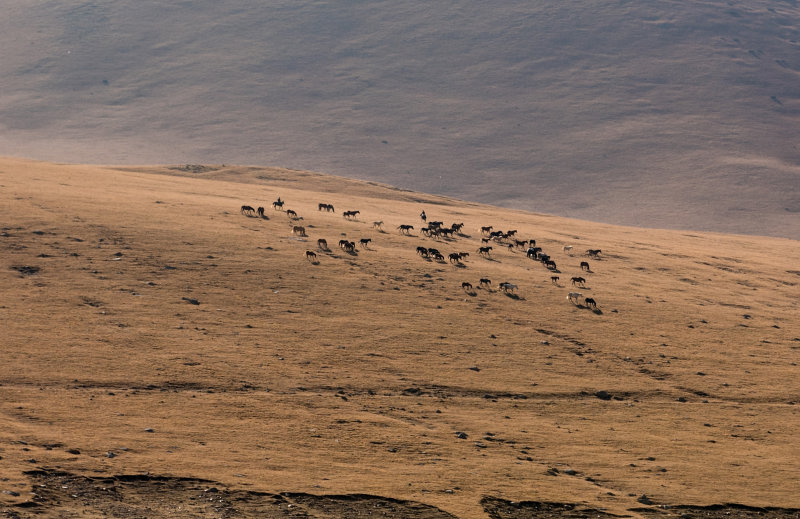 Kyrgystan, near Otmok pass