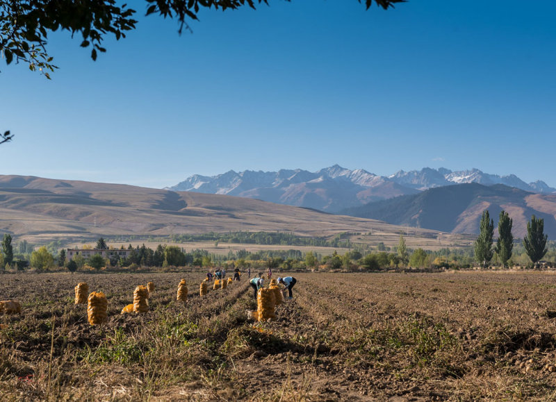 Kyrgystan, North-East