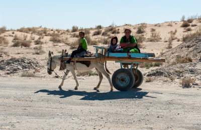 Uzbekistan, Kyzylkum desert