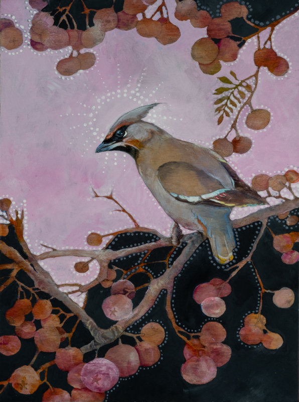 Acrylic painting of a Waxwing on bushes. 