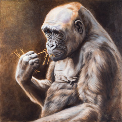 Painting of gorilla from Calgary zoo.