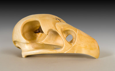 Eagle skull carved from Northern Birch.