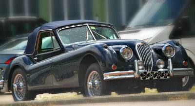 A car DSC_0581x29062017pb