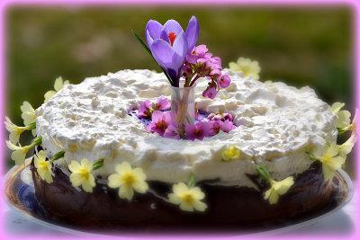 A spring cake  DSC_2148x18032017pb