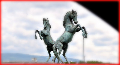  The horse sculpture   DSC_0161x17042018pb