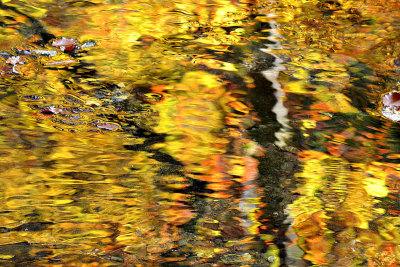 Reflections on the small rivulet   DSC_0079x20102017pb