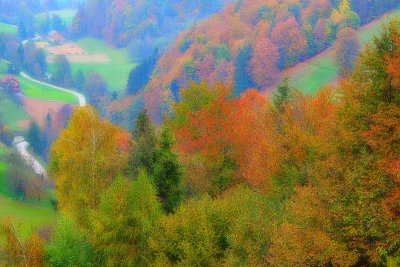 Autumn in the  valley  DSC_1346x20112018pb