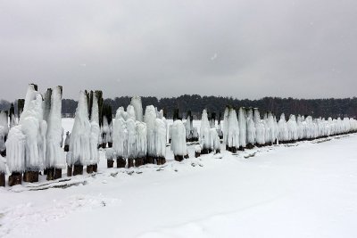 49.jpg