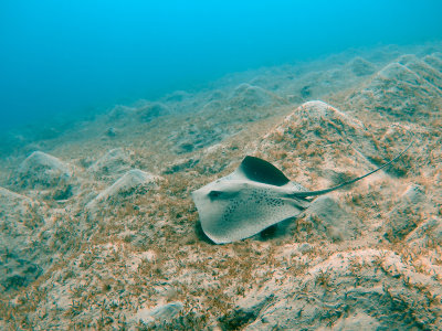 Marsa Alam, Egypt