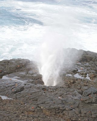 Blowhole-052517- Gardner Bay, Espanola Island-#0314.jpg