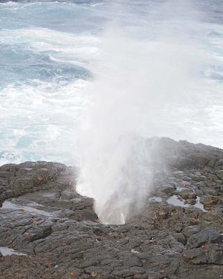 Blowhole-052517- Gardner Bay, Espanola Island-#0315.jpg