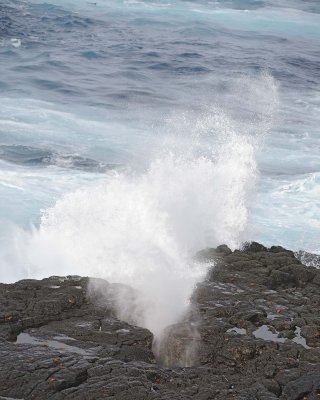 Blowhole-052517- Gardner Bay, Espanola Island-#0316.jpg