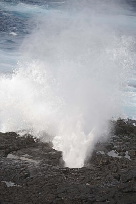 Blowhole-052517- Gardner Bay, Espanola Island-#0318.jpg