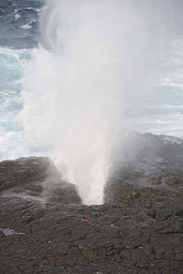 Blowhole-052517- Gardner Bay, Espanola Island-#0340.jpg
