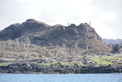 Cactus-052817-Santiago Island-#0003.jpg