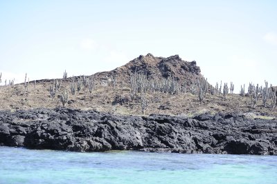 Cactus-052817-Santiago Island-#0211.jpg