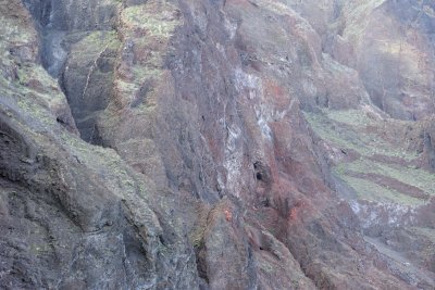 Cliff face-051917-Isabela Island-#1066.jpg