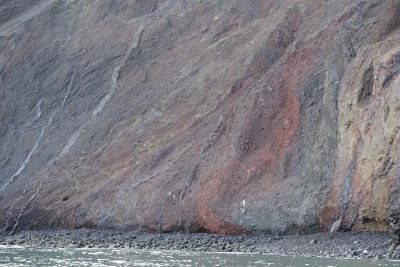 Cliff face-051917-Isabela Island-#107.jpg